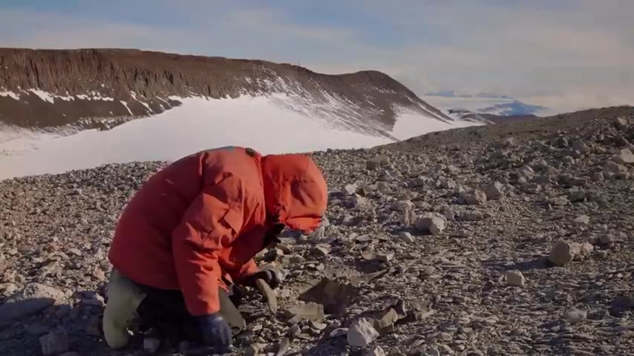 Elon Musk Just Revealed The Terrifying Truth Behind Antartica