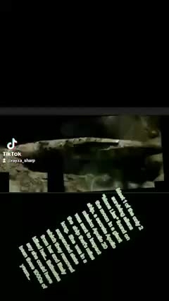 This was found on the moon