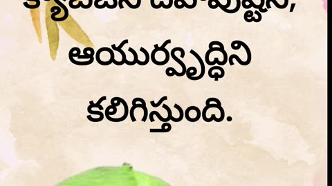 Cabbage Benefits క్యాబేజి వ‌ల్ల క‌లిగే ఈ ఆరోగ్య ప్ర‌యోజ‌నాలు