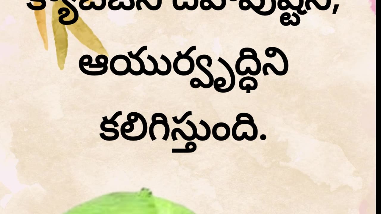 Cabbage Benefits క్యాబేజి వ‌ల్ల క‌లిగే ఈ ఆరోగ్య ప్ర‌యోజ‌నాలు