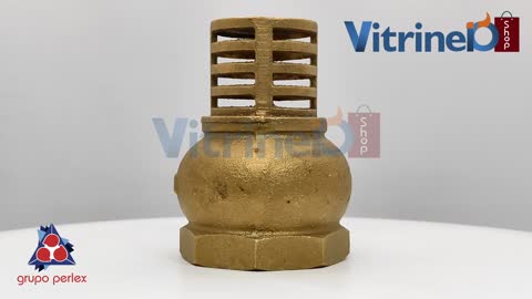 Válvula Sucção Arco para uso vertical (fundo de poço) 2'' THOR PN16 com rosca interna.