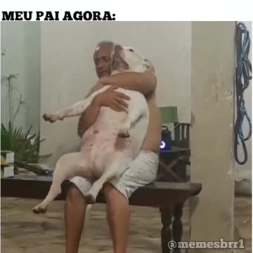 before: I don't even want to know about dad My dog now: