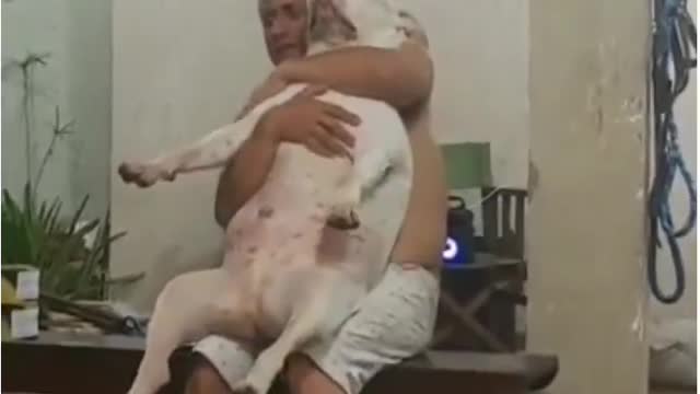 before: I don't even want to know about dad My dog now: