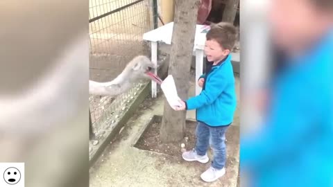 KIDS VS ANIMALS. YOU WON'T BELIEVE WHO WINS