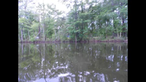 Taking the Kiddos canoeing