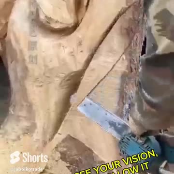 BELIEVE IN YOUR DREAM#dream #vision #negativity #focus #powerfulmotivation #dreams #motivational