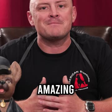 Top 3 Dog Breeds for Families With Kids