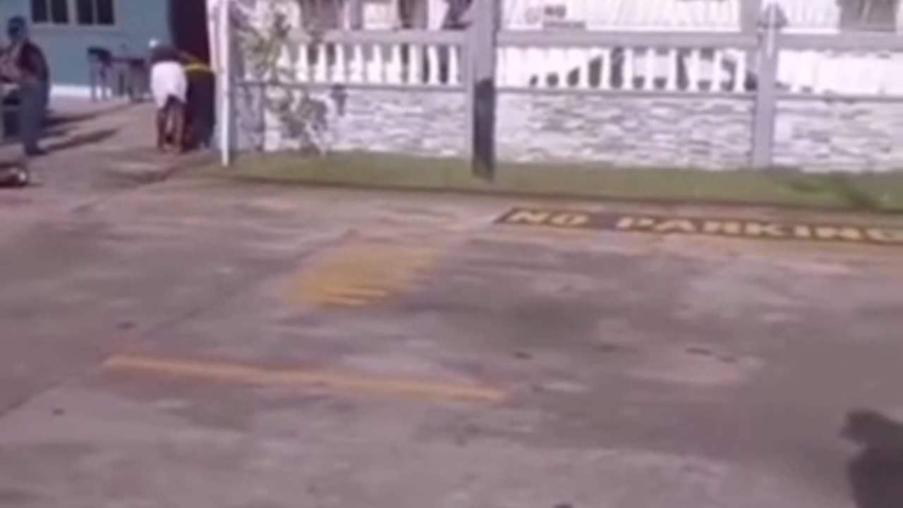 Reakcje na ,,szpryce "