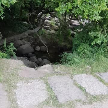 Panning away from a river. Dartmeat. Dartmoor