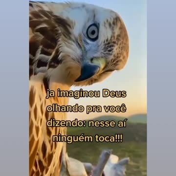 Incrível