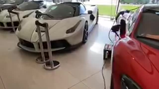 WoW