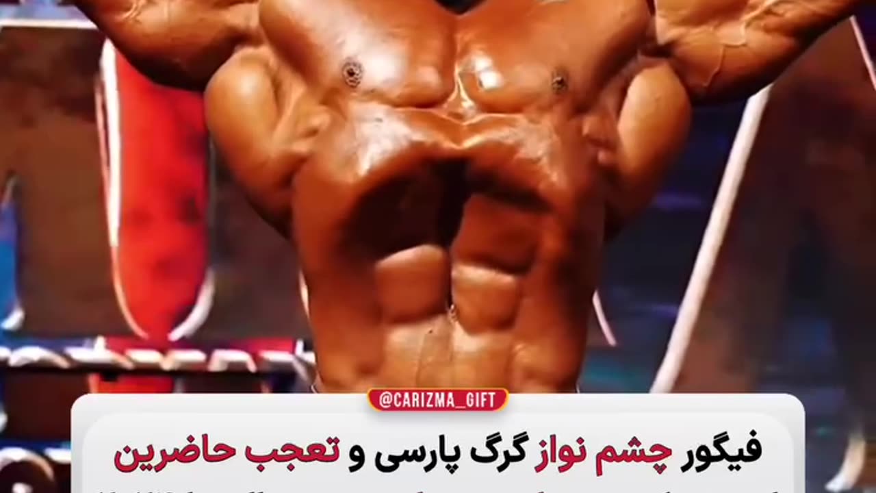 Persian wolf figure