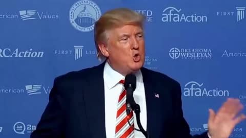 President Trump: A New American Future