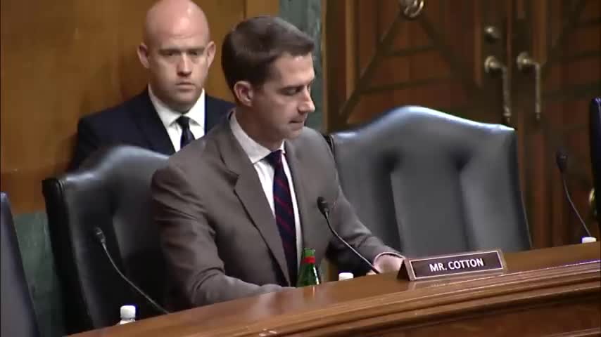 Senator Tom Cotton Q&A During Senate Judiciary Committee Hearing