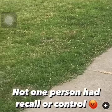 Rottweiler Attacks Pitbull (Off Leash Dog Park) It Happens 🤯