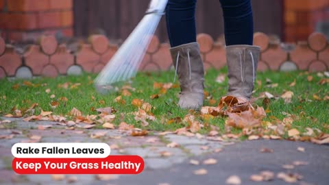 Seasonal Lawn Care Tips | Mowing Guide | Urban Care