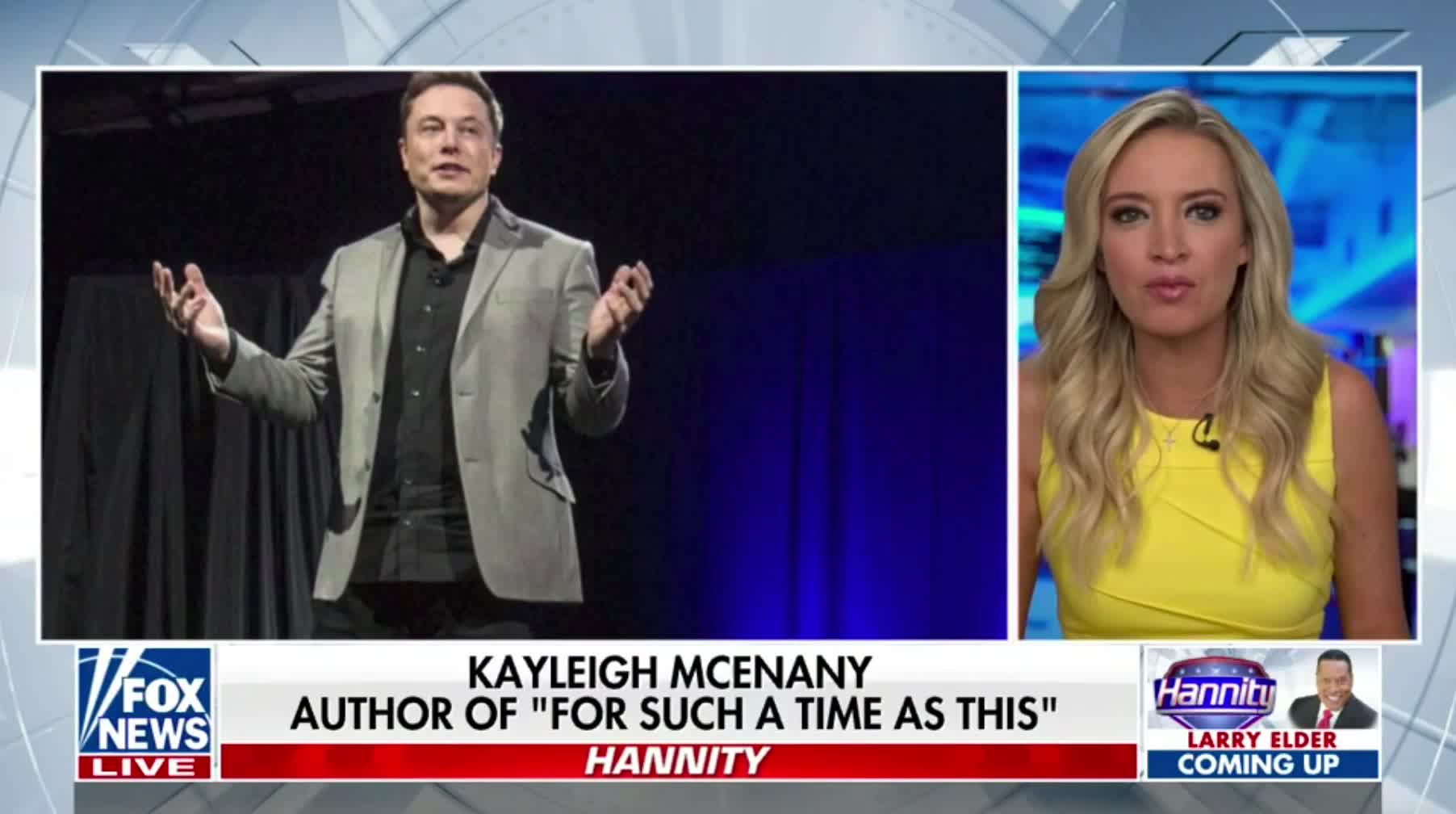 Kayleigh McEnany reacts to Elon Musk's feud with Joy Reid and Elizabeth Warren