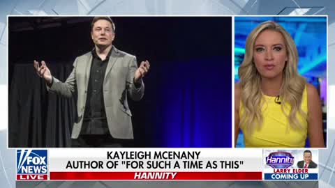 Kayleigh McEnany reacts to Elon Musk's feud with Joy Reid and Elizabeth Warren