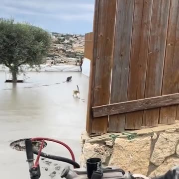 It's all bullshit, redo it 😂 ✈️