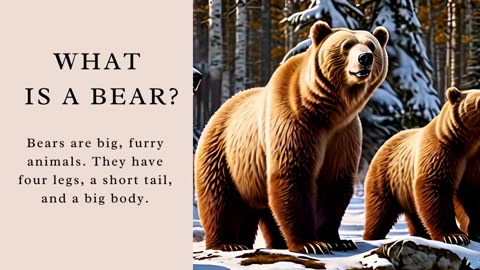 🐻 Fun Facts About Bears! 🐻