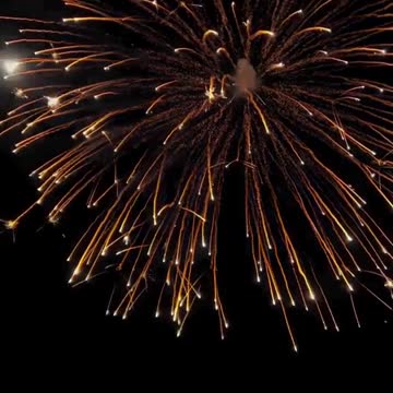 funny|prank|jokes|funny jokes|dad jokes|funny memes|funny video|fun|laughing|funny animal|knock