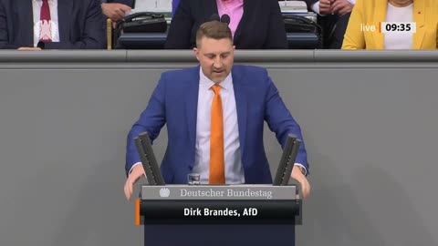 Dirk Brandes Rede vom 27.06.2024 – Tätigkeitsbericht des Petitionsausschusses 2023