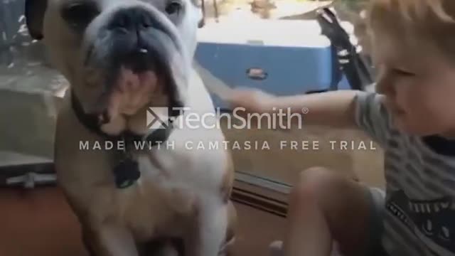 Funny dog video 2021 completion ππππ€£π€£| it's time to laugh πΆπ€£π€£
