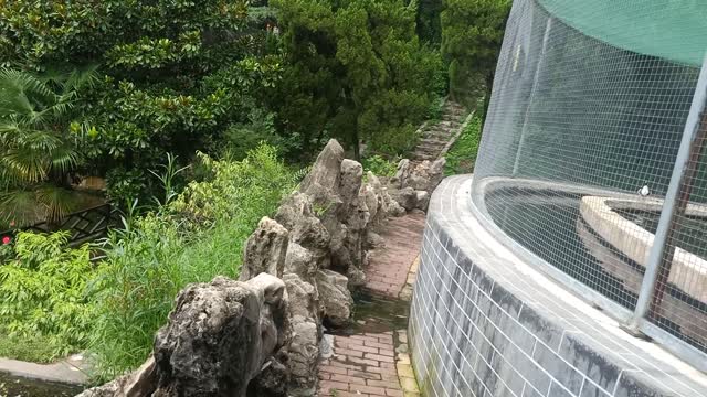 These small rockeries have different shapes