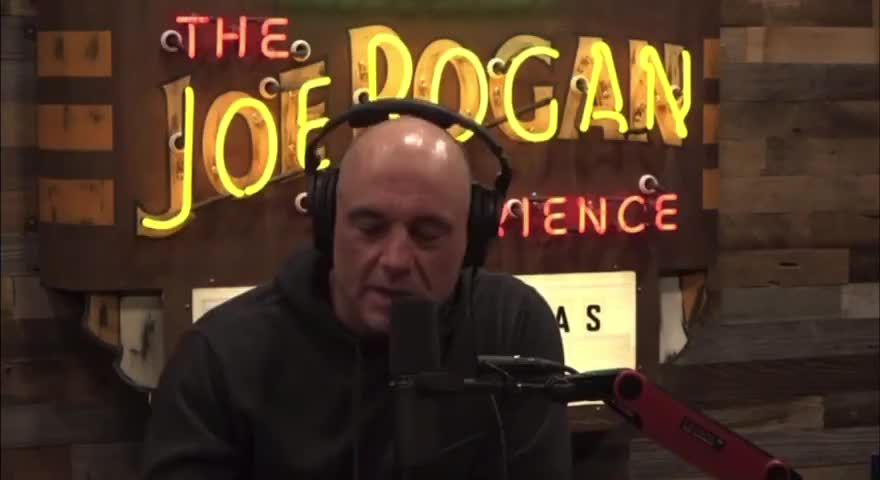 Joe Rogan says that woke "anti-racist" ideology was pushed on his young child in California school