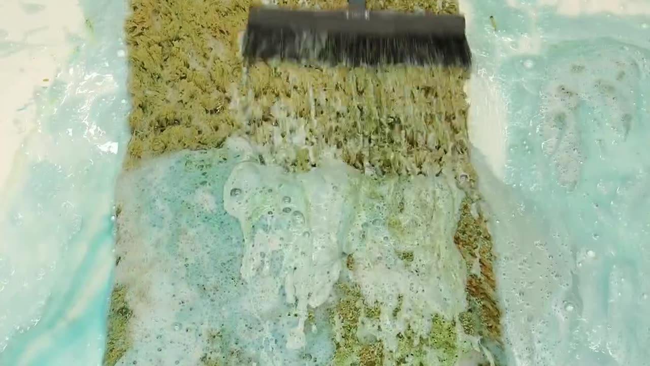 Refreshing Satisfying ASMR Carpet Cleaning.