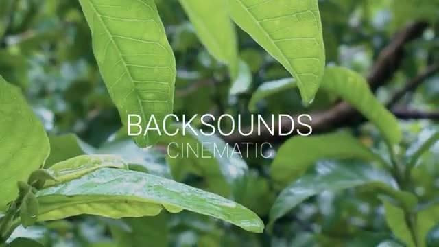 Cinematik beautiful flower