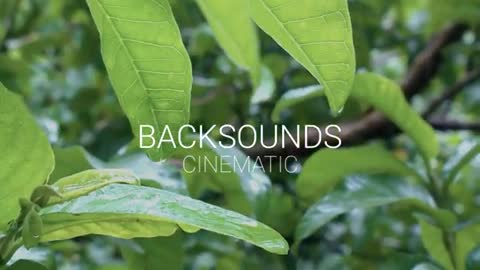 Cinematik beautiful flower