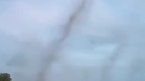 I never seen anything like this in my entire life