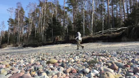 Что такое дзен