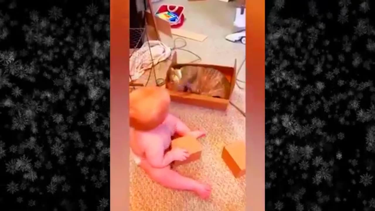 Funny baby and dog videos