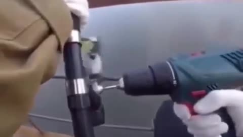 This is a beautiful and charming water-dwelling species