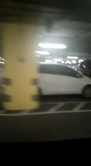 iPhone 6s plus Mobile Video Clip # -04