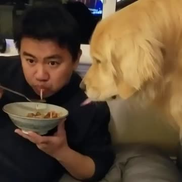 Cute baby animals Videos Compilation cutest moment of the animals - 🐶 Cutest Puppies #16