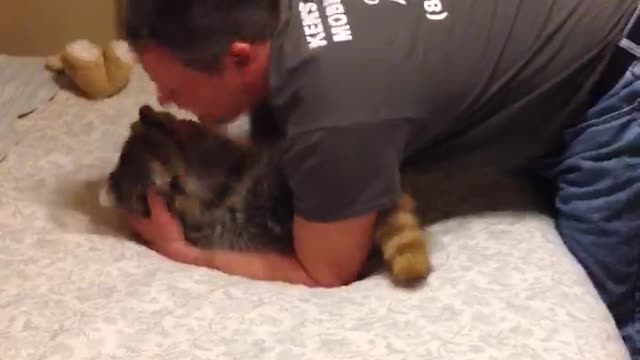 Little raccoon loves to play “ catch me “ too cute!