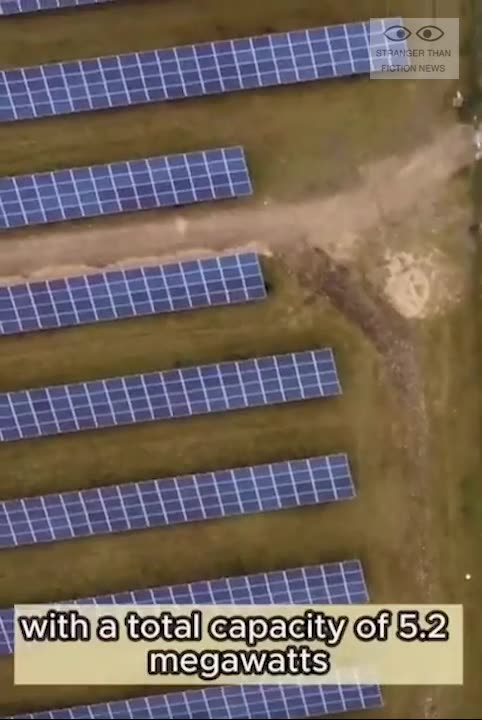 One Hailstorm reduced a multimillion $ solar park with 14,000 solar panels into....