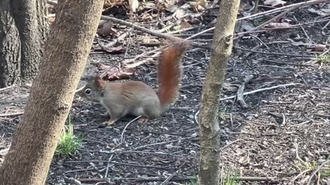 Made a friend today at James Gardens