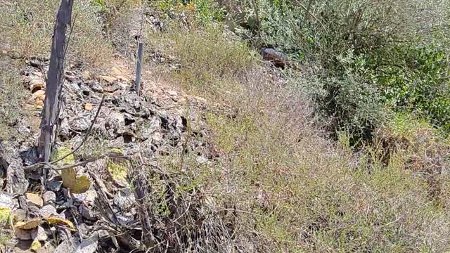 Checar Este Lugar 😎