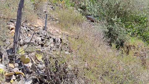 Checar Este Lugar 😎