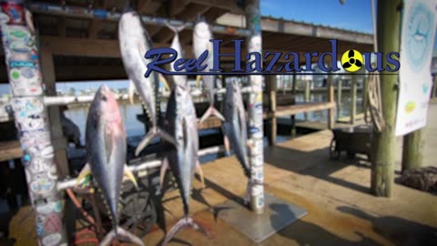 Catching my FIRST Yellowfin Tuna | Venice, Louisiana | Live Bait | Removing Fishing Hook from Hand