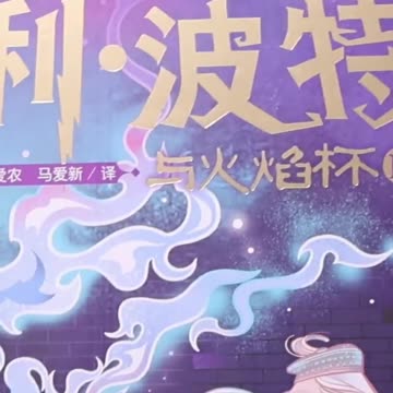 Quidditch World Cup IN CHINESE! #harrypotter #wizardingworld #books