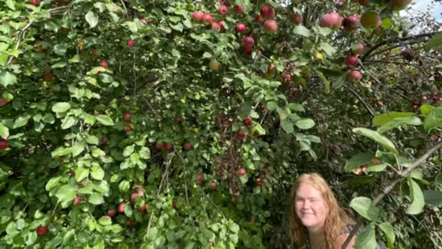 Truly a nice day here