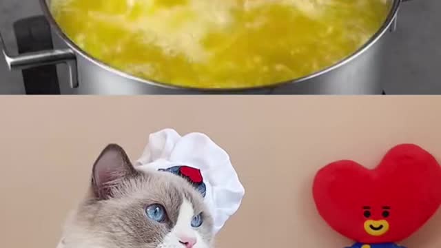 This cat is learning how to roast a chicken