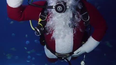 Merry Christmas from underwater