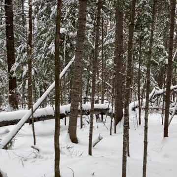 Good thing there’s a trail