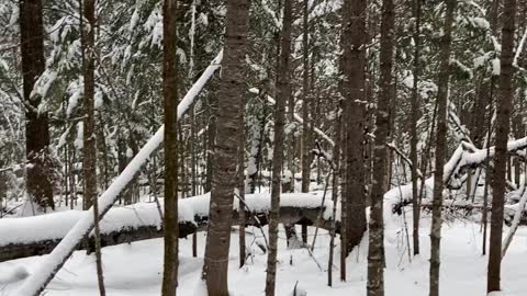 Good thing there’s a trail